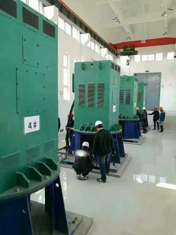 庆阳某污水处理厂使用我厂的立式高压电机安装现场